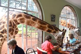Easter Family Fun Day — Nairobi Safari Park for adventure-outdoors — event booking Kenya
