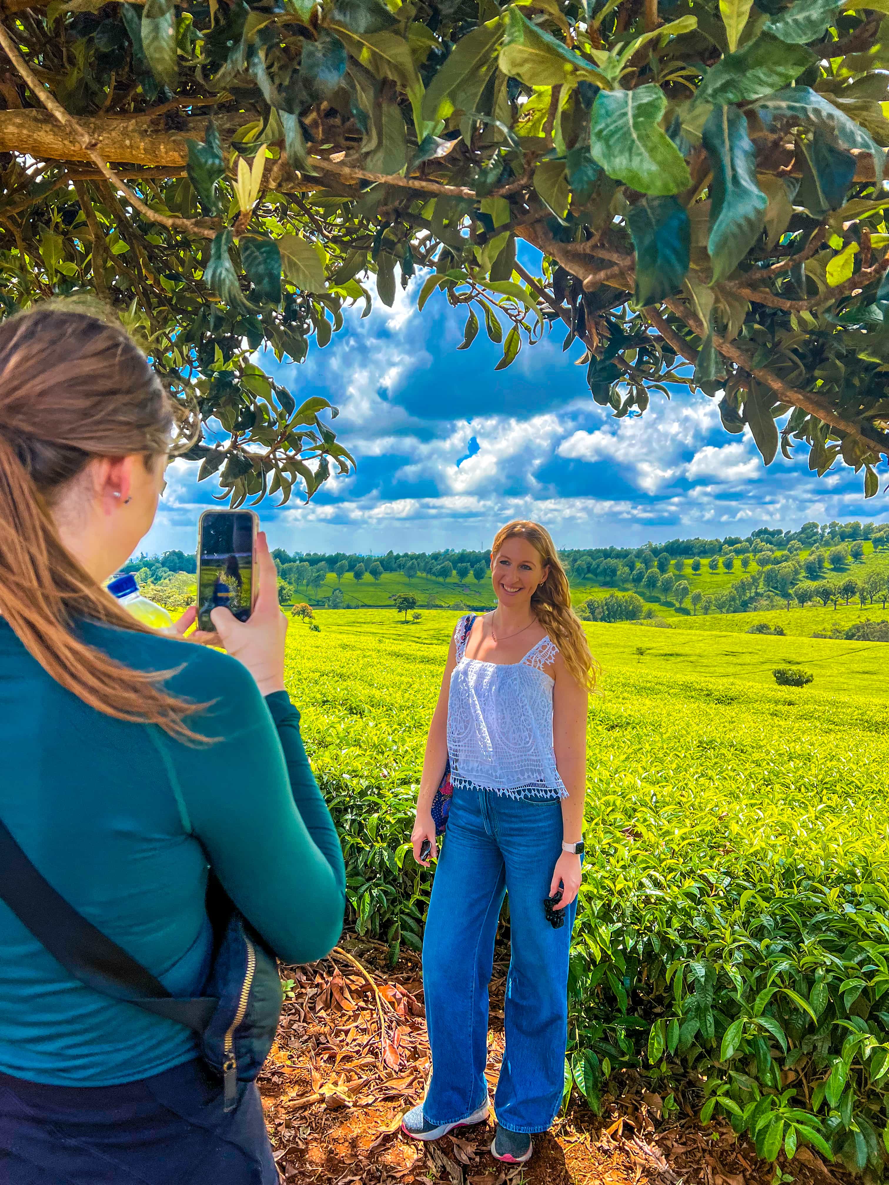Tigoni Tea Estate Experience & Lunch for food-dining — event booking Kenya